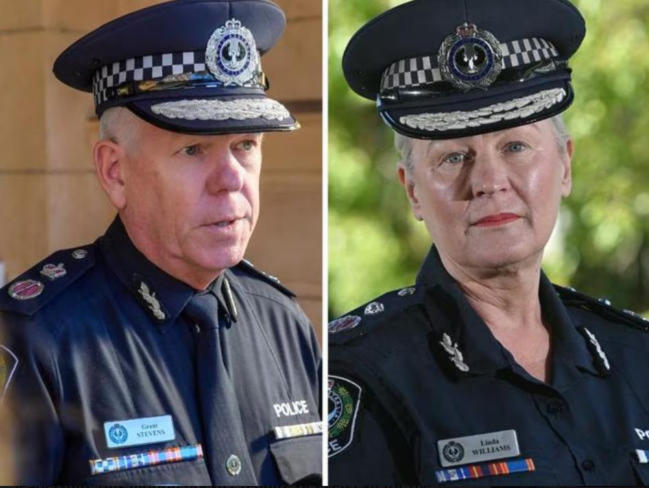 grant stevens and linda williams